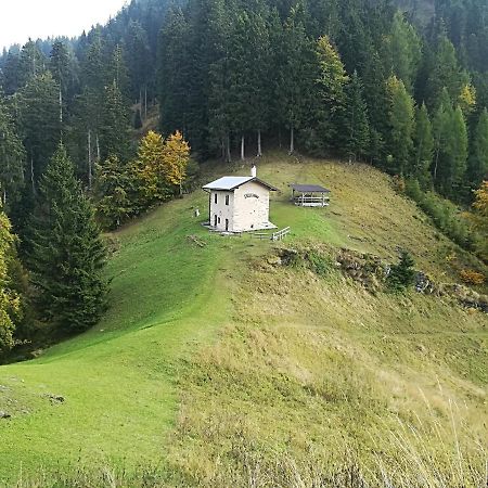 B&B Ai Pini Tiarno di Sopra Екстериор снимка