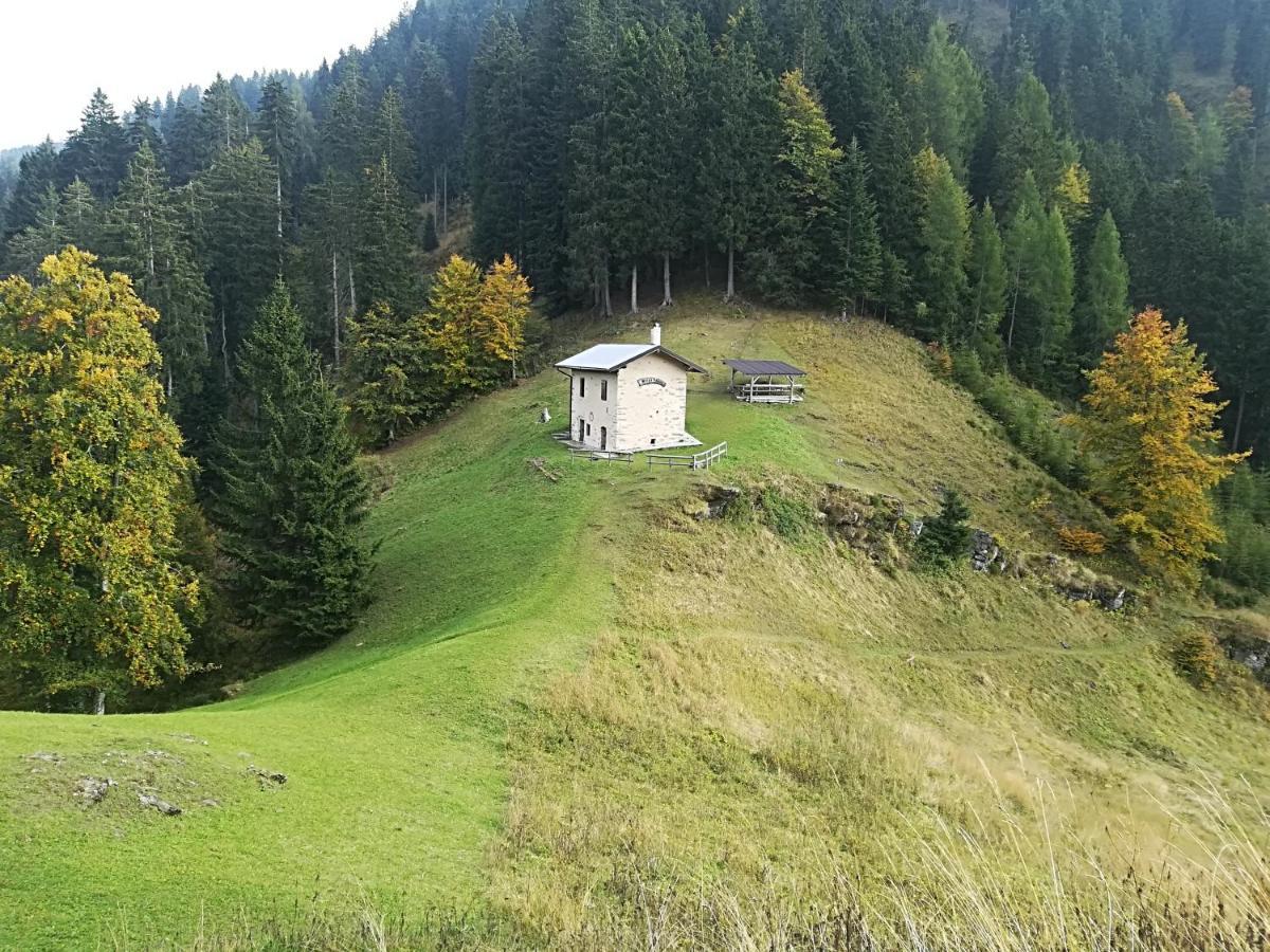 B&B Ai Pini Tiarno di Sopra Екстериор снимка