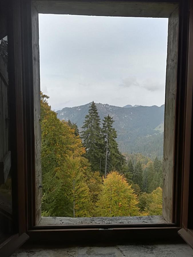 B&B Ai Pini Tiarno di Sopra Екстериор снимка