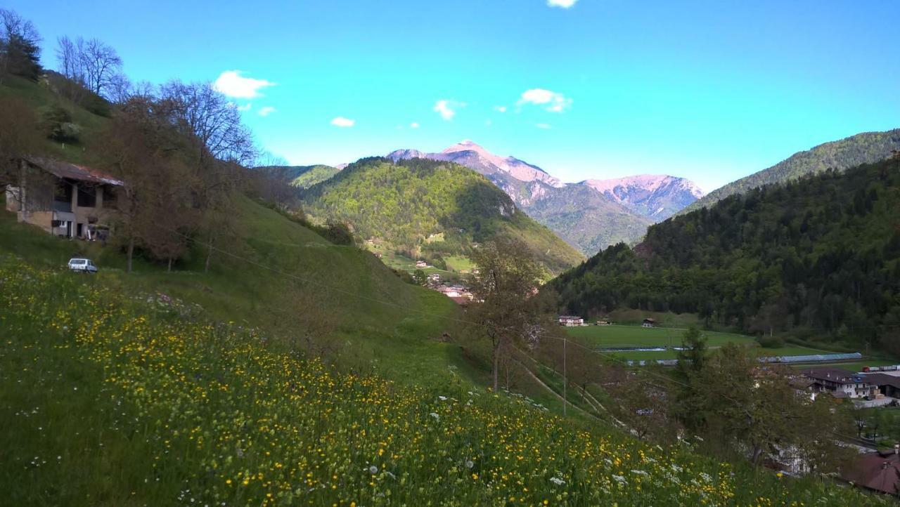 B&B Ai Pini Tiarno di Sopra Екстериор снимка